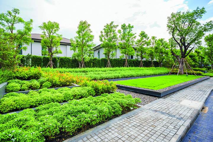 พรีวิวบ้าน พาร์ค ริเวอร์เดล ติวานนท์-แจ้งวัฒนะ พรีวิวบ้าน พาร์ค ริเวอร์เดล ติวานนท์-แจ้งวัฒนะ
