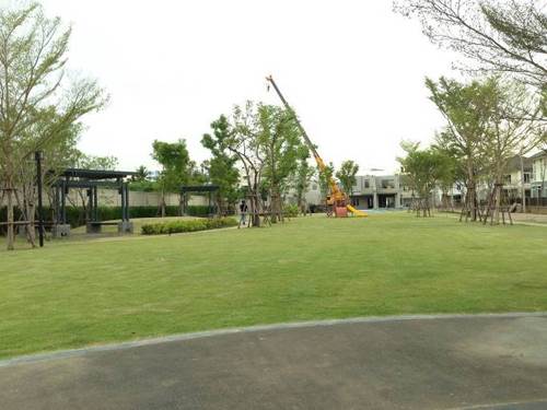 รีวิวบ้าน เดอะ แพลนท์ บางแค