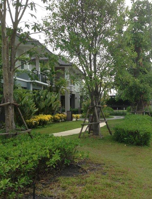 รีวิว เดอะแพลนท์ รีสอร์ท พระราม 5-กาญจนาภิเษก รีวิว เดอะแพลนท์ รีสอร์ท พระราม 5-กาญจนาภิเษก