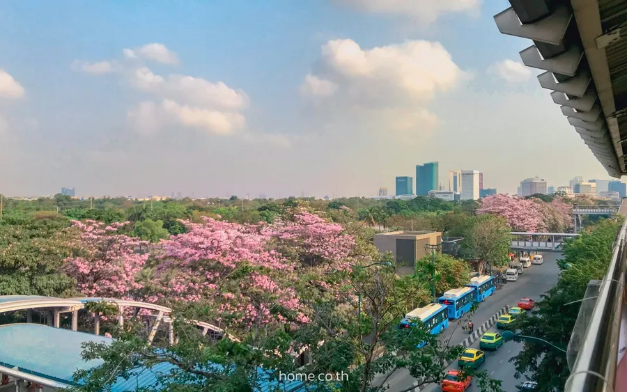 ชี้เป้า 7 สวนสาธารณะ ใกล้รถไฟฟ้า BTS สายสีเขียว แวะสัมผัสธรรมชาติได้ในทุกๆ วัน
