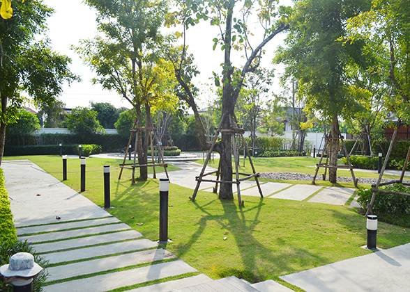 พรีวิวบ้านโครงการ คาซ่า วิลล์ สุขุมวิท 103 พรีวิวบ้านโครงการ คาซ่า วิลล์ สุขุมวิท 103
