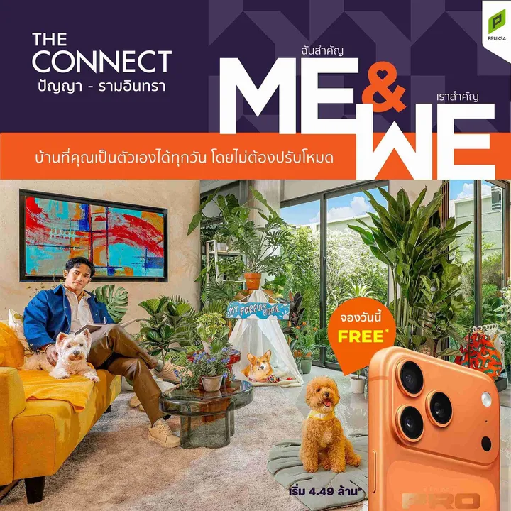 image-cover