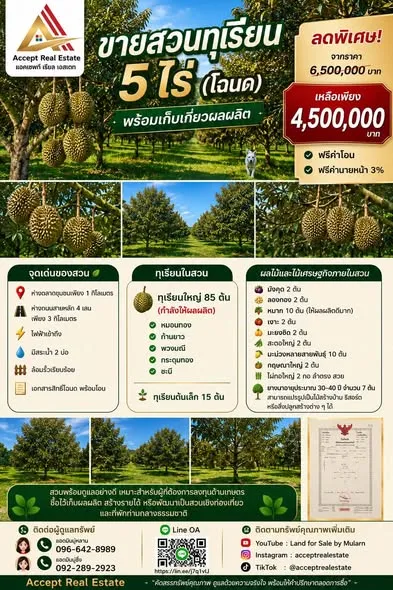 ขายสวนทุเรียน 5 ไร่ (โฉนด) พร้อมเก็บเกี่ยวผลผลิต บ้านค่าย ระยอง