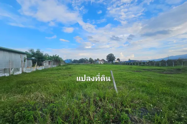 ขายที่ดินเปล่า ทำเลดี แม่ริม เชียงใหม่ ราคาต่ำกว่าตลาด ใกล้มหาวิทยาลัยแม่โจ้ วิวดอยสุเทพ