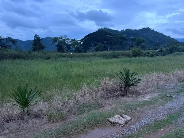 ขายที่ดินเขาใหญ่ หมูสี ถนนธนะรัชต์ 2 ไร่ ใกล้ทางขึ้นอุทยานแห่งชาติเขาใหญ่ เข้าจากถนนธนะรัชต์ 250 เมตร ใกล้โรงแรม เทมส์วัลลีย์ ตลาดสามแยกกุดคล้า ทำเลดี ใกล้ถนนธนะรัชต์ ราคาดี 087-9074045