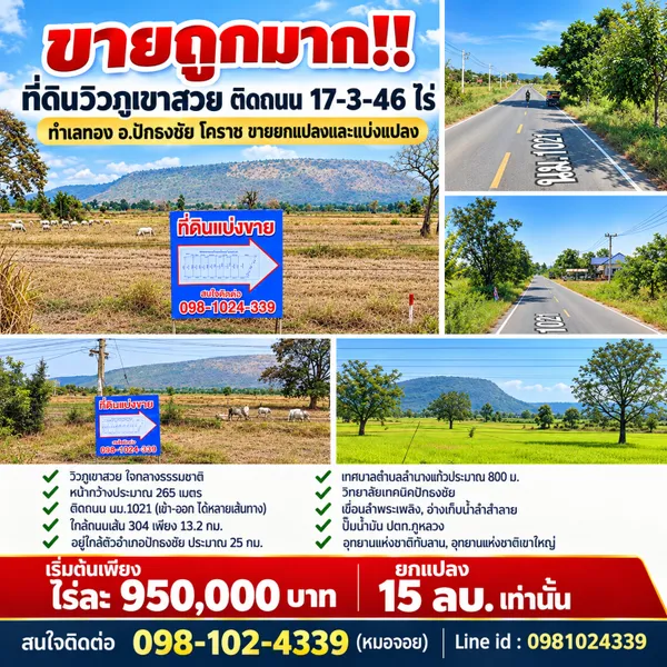 ขายถูกมาก!! ที่ดินวิวภูเขาสวย ติดถนน 17-3-46 ไร่ ทำเลทอง อ.ปักธงชัย โคราช ขายยกแปลงและแบ่งแปลง