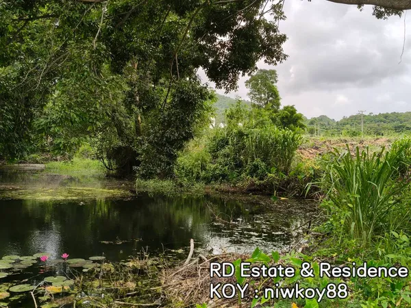 ขายที่ดินติดน้ำ เขาใหญ่ ถนนธนะรัชต์ ปากช่อง ที่ดินติดมินวินเทอร์ Midwinter 20ไร่ หน้ากว้างติดถนน ทำเลดี ใกล้มอเตอร์เวย์ M6 ห้างMakro โรงพยาบาล โรงเรียนนานาชาติ 087-9074045