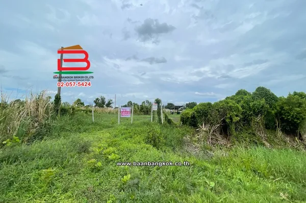 ที่ดินเปล่า เนื้อที่ 1-0-22 ไร่ ใกล้วัดประยงค์กิตติวนาราม ถนนประชาสำราญ แขวงคลองสิบสอง เขตหนองจอก