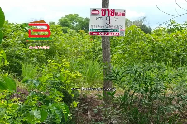ที่ดินเปล่า หนองเสือ-คลอง 13 ซอยเกตุสิงห์ คลอง 13 เนื้อที่ 9 ไร่ ใกล้หมู่บ้านแสนสุข ถนนสาย ปท.3034 ตำบลหนองสามวัง อำเภอหนองเสือ จังหวัดปทุมธานี