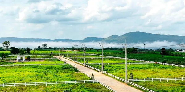 ขายที่ดินคลองม่วง เขาใหญ่ ปากช่อง 2 ไร่ วิวเขาสวยมาก น้ำไฟพร้อม เดินทางสะดวก ไม่เปลี่ยว ทางไป My ozone Movenpick ใกล้เส้น 2235 The paz khaoyai น้ำไม่ท่วม 087-9074045