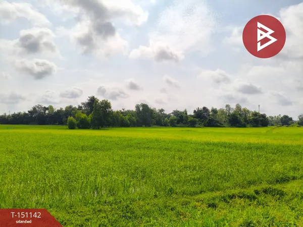 ขายที่ดิน เนื้อที่ 4 ไร่ 3 งาน 60 ตร.วา ธวัชบุรี ร้อยเอ็ด