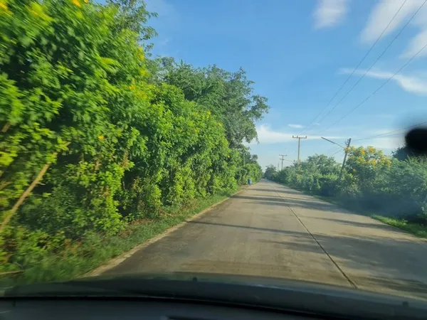 ตุนทรัพย์เก็บขายเก็งกำไร ที่สวยติดถนนคอนกรีต ต.อ.ม