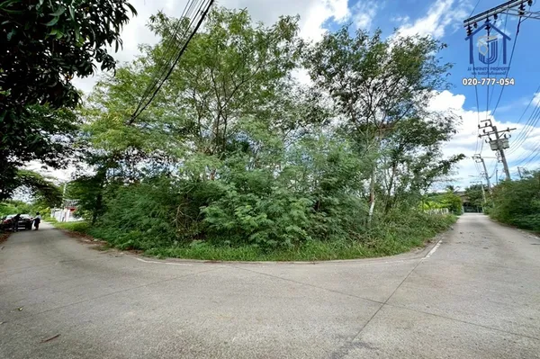 ขายที่ดินถมแล้ว 99.4 ตารางวา ซอย 99พัฒนา