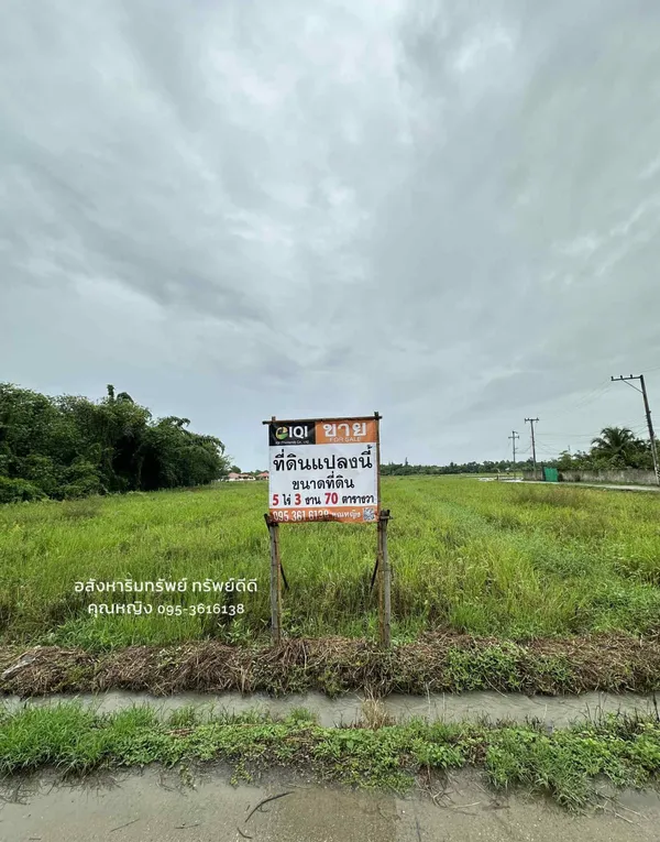 ที่ดิน อ.สันกำแพง จ.เชียงใหม่
ต.ทรายมูล อ.สันกำแพง จ.เชียงใหม่