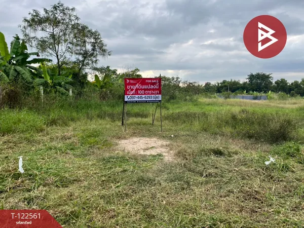 ขายที่ดิน เนื้อที่ 1 งาน พานทอง ชลบุรี