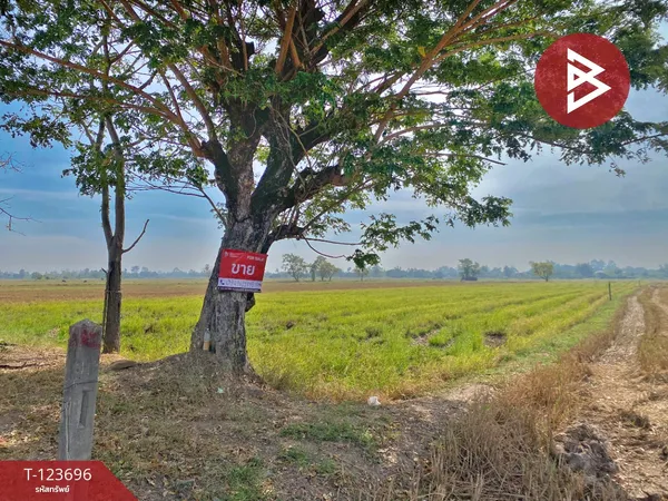 ขายที่ดิน เนื้อที่ 5 ไร่ 2 งาน 10 ตารางวา น้ำพอง ขอนแก่น