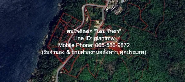 ที่ดิน ที่ดิน ใกล้หาดกมลา อ.กะทู้ จ.ภูเก็ต 34000000 - area 0 Square Wah 0 NGAN 2 ไร่ ไม่ไกลจาก หาดกมลา 4 กม. ทรัพย์ดี ๆ 