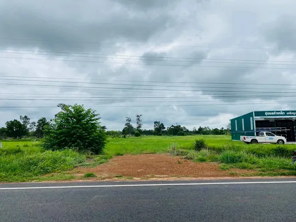 ขายที่ดิน อำเภอพนา จ.อำนาจเจริญ ใกล้โรงพยาบาลพนา