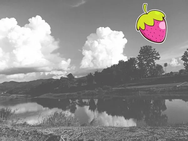 หนาวนี้ดูซื้อทรัพย์เล็งขาย ที่สวยติดแม่น้ำน่าน น้ำใสไหลรินตลอดปี ต.ศรีภูมิ อ.ท่าวังผา จ.น่าน ขาย 800000 วิวดีสวยมาก 0968