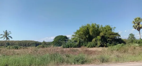 โปรปลายปีรับลมหนาวมาแล้ว ที่ติดแม่น้ำโขง ต.กุดบง อ.โพนพิสัย จ.หนองคาย หลังติดแม่น้ำโขง ไร่ละ 2ล้านบาท โทร 096-882-1857