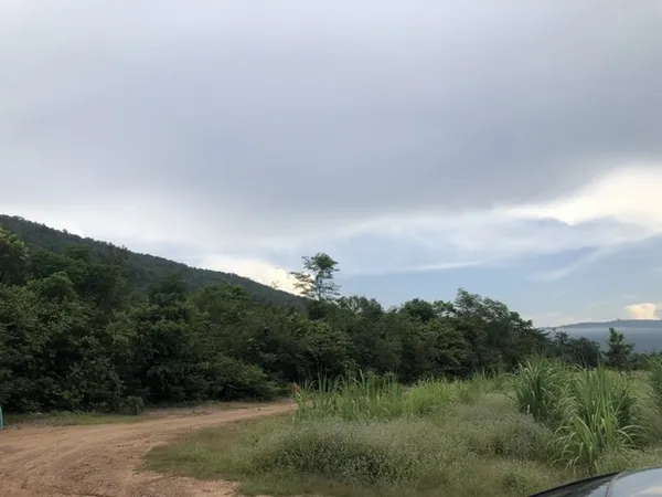 โปรปลายปีรับลมหนาวมาแล้ว ขายที่ดินสวยติดภูเขา เทือกเขายาวเรียงแนว ดินดีสมบูรณ์ทรัพย์ในดิน ฟ้าใสวิวหลักล้าน ต.นาจาน อ.สีช