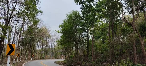 พื้นที่ดิน ที่ดิน จ.น่าน 101211250 B. ขนาด 20 RAI 0 ngan 97 ตร.ว. เดินทางสดวกสบาย น่าน