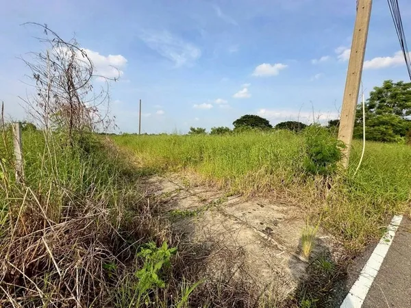 ขายที่ดินเปล่า เนื้อที่ 153 ตารางวา ซอยบึงบอน 3 ถนนเลียบคลอง 8 ตะวันออก ตำบลบึงบอน อำเภอหนองเสือ จังหวัดปทุมธานี