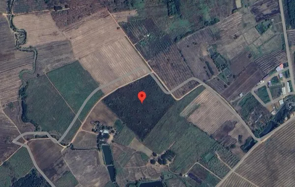 ที่ดินป่าอ้อย จ.เลย ทำเลดี ราคาน่าลงทุน พื้นที่รวม 26 ไร่ 93 ตารางวา