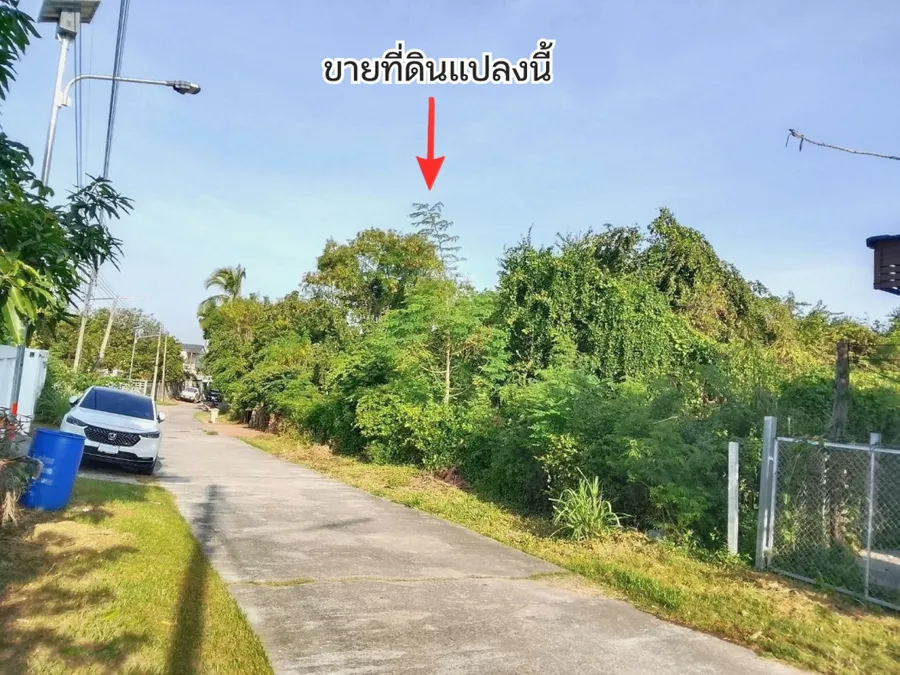 ขาย ที่ดิน หมู่ที่ 1 บ้านหนองบัวลาย