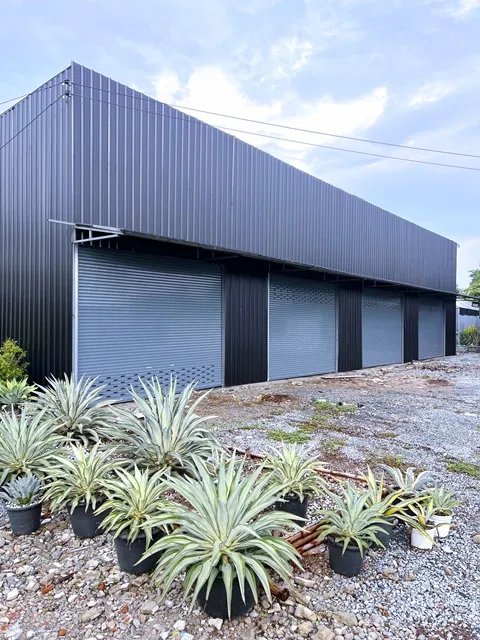 ให้เช่าโกดังใหม่ 300ตร.ม. สารีบุตร ฉลองกรุง1-10 ตลาดนัดวินวินสุวรรณภูมิ 3.8 กม สโมสรกีฬาเอชแอนด์เอ 1.0 ม.75 ตร.วา. ติดถน