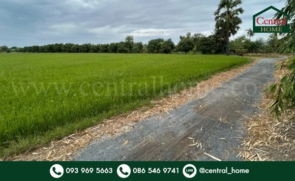 ที่ดิน 9-3-99.5 ไร่ ดอนโพธิ์ - สุพรรณบุรี มีผู้เช่า ทำเลดี