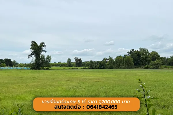 ขายด่วนนน ที่ดินสวย ทำเลดี ตัวเมืองศรีสะเกษ 5 ไร่