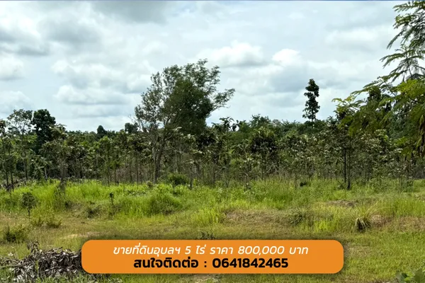 ขายด่วนนน ที่ดินอุบลฯ ถูกกกกมาก 5 ไร่ เพียง 800,000 บาท (( ที่ดินสวย ทำเลดี ))