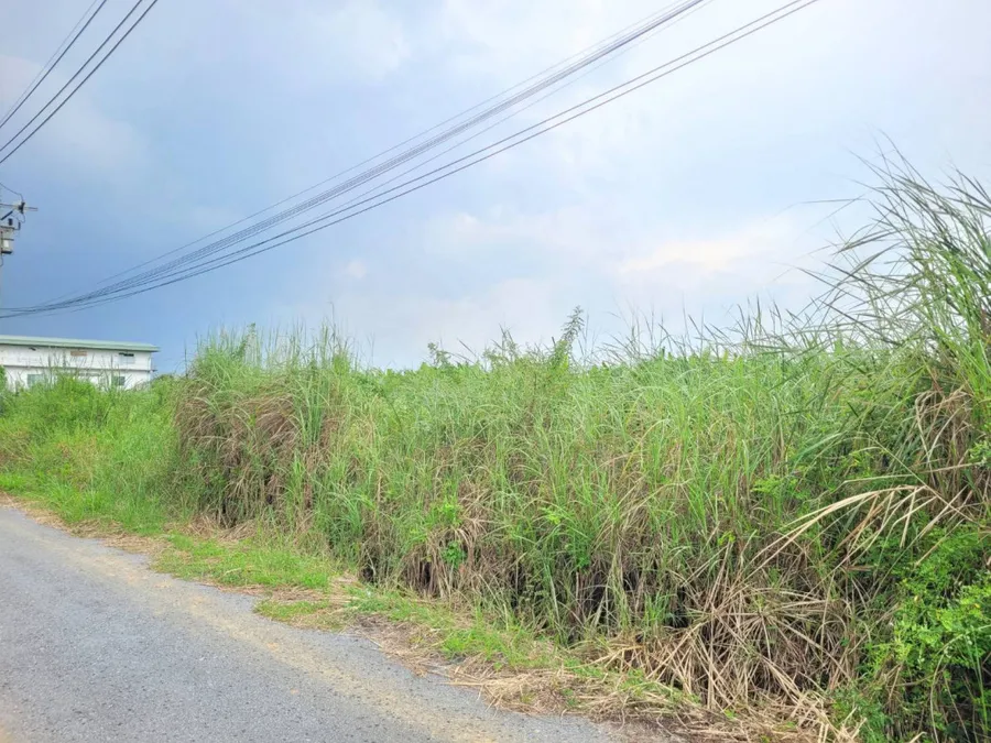 ขาย ที่ดิน ซอยร่มเกล้า​ 52/2/2 ขนาด 1-4-​74 ไร่ ใก