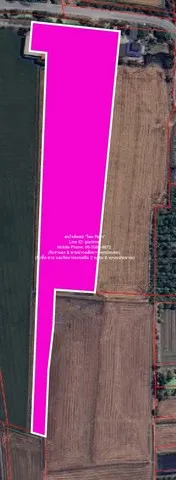 บ้าน ขายบ้าน 2 ชั้น พร้อมที่ดินทุ่งนา อ.นครชัยศรี นครปฐม 11-3-13 ไร่ ราคา 23,565,000 บาท 4 ห้องนอน 4713 ตารางวา 23565000