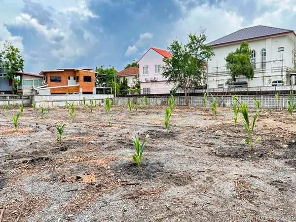 ขายที่ดินเปล่าถมแล้ว 2 ไร่ 3 งานกว่า ย่านวัชรพล ติดถนนสุขาภิบาล 5 ใกล้ทางด่วน ใกล้ตลาดวงศกร **ติดริมถนน มองเห็นง่าย เหมา