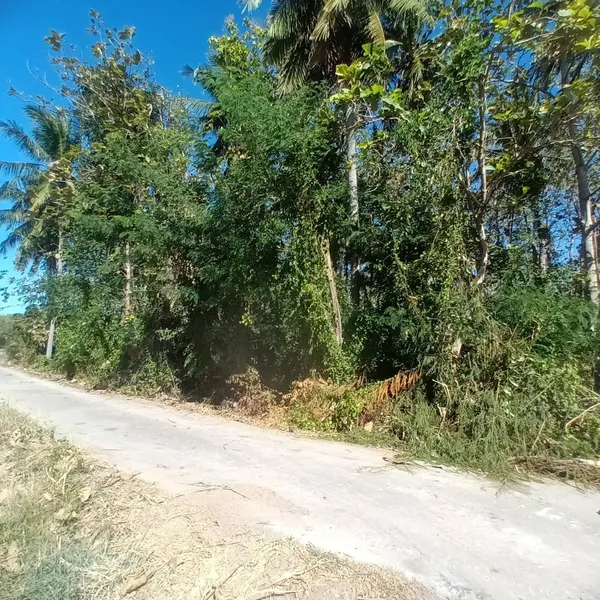 ขายที่ดิน 2 ไร่ พร้อมต้นสักอายุ 22 ปี บ้านน้อย ต.กกโก อ.เมืองลพบุรี จ.ลพบุรี

ที่ตั้ง :  บ้านน้อย ต.กกโก อ.เมืองลพบุรี จ.ลพบุรี
https://maps.app.goo.gl/CGfHLuMjwfX78aaR7

ขนาดที่ดิน :  2 ไร่ 

รายละเอ