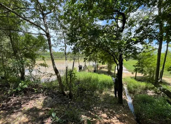 ขายที่ดินสวย วิวดีติดคลอง ใกล้สนามบินสกลนคร