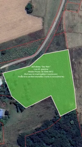DSL-1106 ขายด่วน ๆ ที่ดิน //ถูกสุด//ขายที่ดินเปล่าติดถนน (ระดับเสมอถนน) 7 ไร่ (ใกล้ท่าอากาศยานโพธาราม) ต.เขาชะงุ้ม อ.โพธ