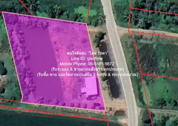 บ้าน ขายที่ดินติดถนน มีบ้านสวนผลไม้ มีบ่อปลา และมีโกดังเก็บของ พร้อมโรงจอดรถ 1-3-79 ไร่ ต.บึงน้ำรักษ์ อ.บางน้ำเปรี้ยว จ.