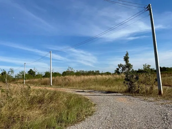 ขายที่ดิน 3-1-51ไร่ 2.3ลบ. ฟรีโอน ถนน น้ำประปา ไฟฟ้า ใกล้ถนนใหญ่ชัยภูมิ-สีคิ้ว ติดวิสาหกิจชุมชนโฮมฮักจัตุรัส ต.บ้านกอก อ