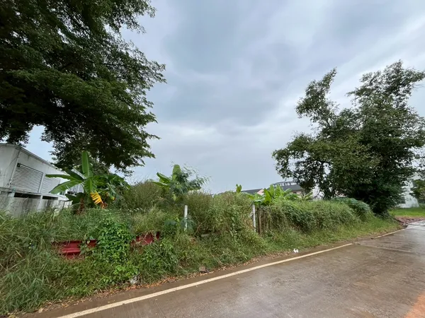 ขายที่ดินกังสดาล ใกล้มหาวิทยาลัยขอนแก่น