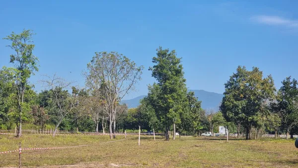 ที่ดินราคาถูกที่สุดในน้ำแพร่ เริ่มต้นเพียง 3,750 บาท/ตรว. เท่านั้น! 
