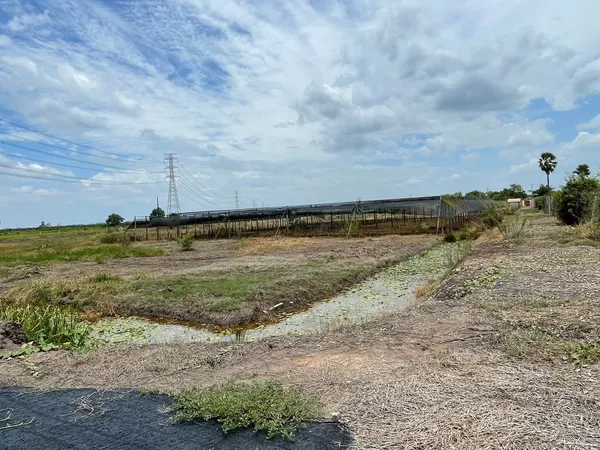 ขายถูกมาก!! ที่ดิน พร้อมโรงเรือน บ้านสวน และบ่อน้ำ 8-1-54 ไร่ อ.ดอนตูม จ.นครปฐม ทำเลดีมากใกล้ตัวอำเภอ
