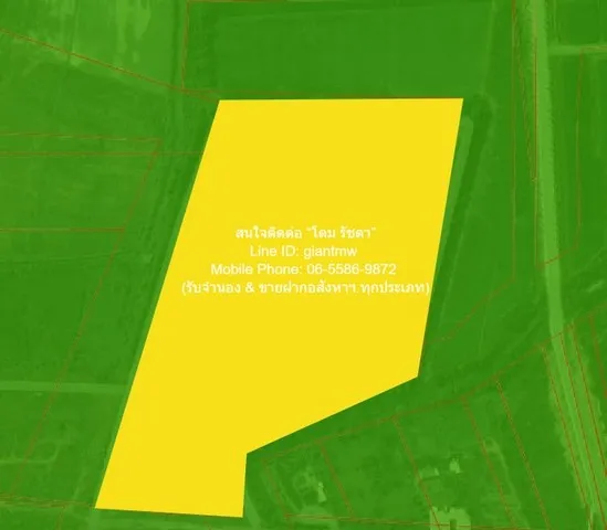 ที่ดิน ขายบ้านพร้อมที่ดินสวนมะพร้าว มะม่วง บึงพระ จ.พิษณุโลก ติดถนนเลี่ยงเมืองพิษณุโลก 56-0-17 ไร่ ราคา 199 ล้านบาท ขนาด