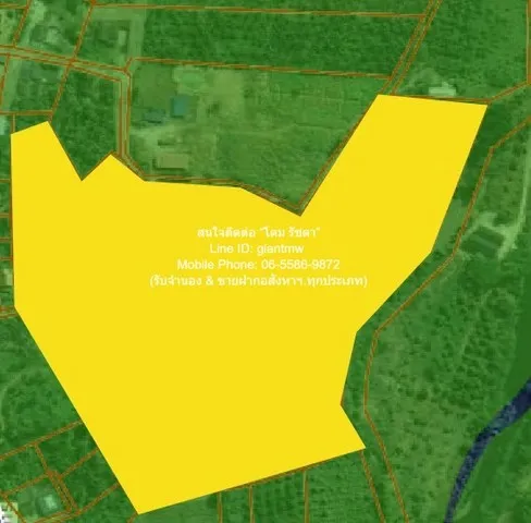 พื้นที่ดิน ขายที่ดินเปล่า หนองหญ้าปล้อง จ.เพชรบุรี (ใกล้ทางหลวง 3510 และ 1015) 32-0-76 ไร่ ราคา 17 ล้านบาท พท. 12876 ตาร