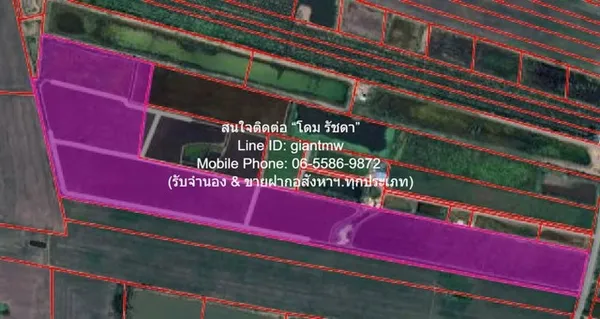 ที่ดิน ขายที่ดินทุ่งนา 103-0-44 ไร่ ศรีจุฬา อ.เมืองนครนายก นครนายก ราคา 31 ล้านบาท ราคาถูกเหลือเชื่อ!