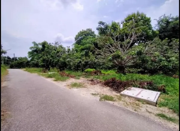 ขายที่ดิน3งาน 1.96ล้านบาท สวนลำไย ถนน ไฟฟ้า ประปา เขตติดต่อ สารภี แดนเมือง ต.อุโมงค์ เมืองลำพูน