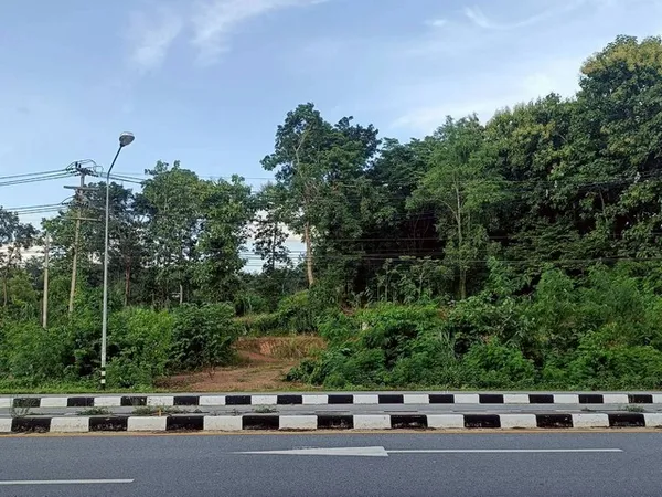 ขายที่ดิน 2-3-81ไร่ 8.3ลบ. ติดถนนบายพาส101 AH13 เยื้องโรงโม่ ส.เต็งไตรรัตน์ ต.ผาสิงห์ อ.เมือง น่าน