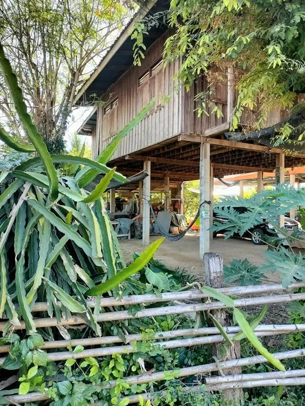 ขายด่วน! (บ้าน 2 ชั้น/ใต้ถุนโล่ง) พร้อมที่ดิน ติดถนนดำ อำเภอลาดยาว นครสวรรค์